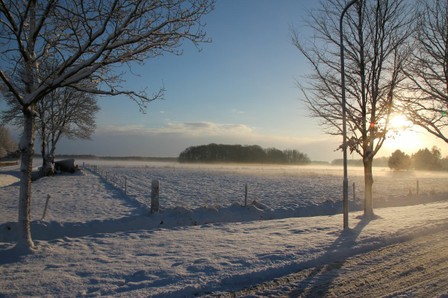 winter2012 13 16