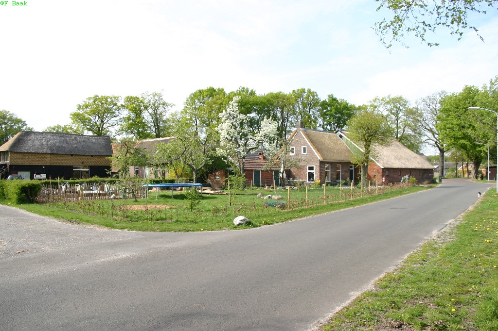 Geitenweitje