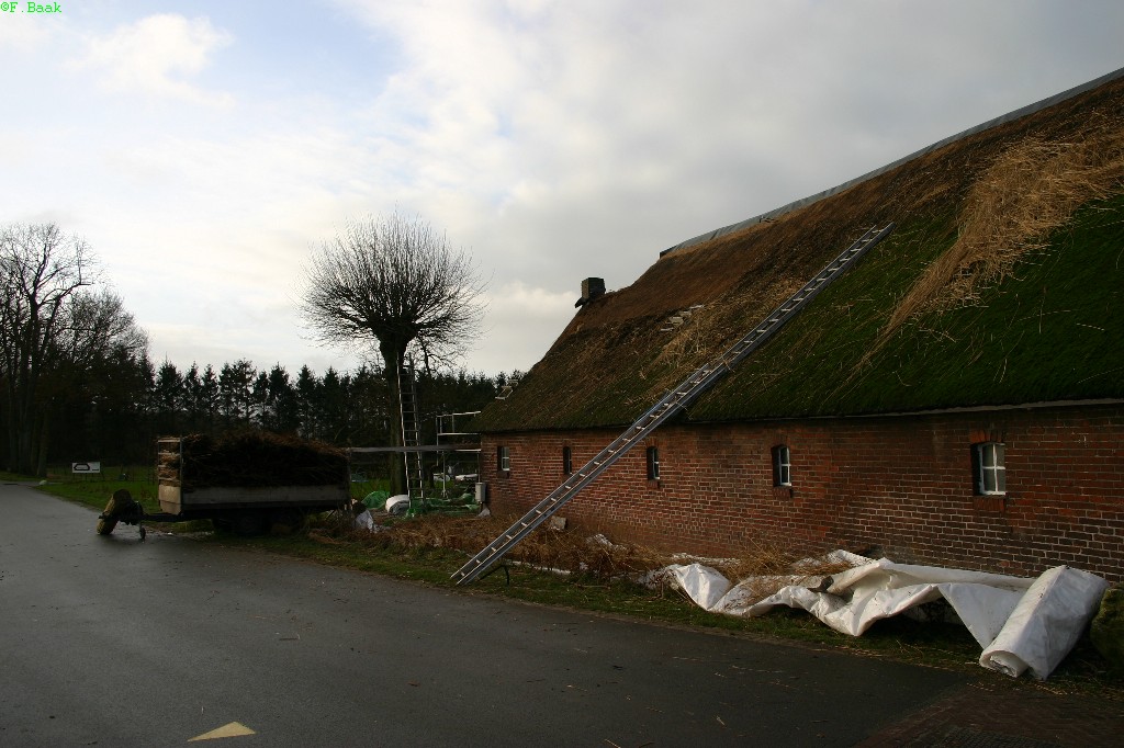 Schoonmaken oostelijke zijde