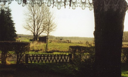 scan016.jpg